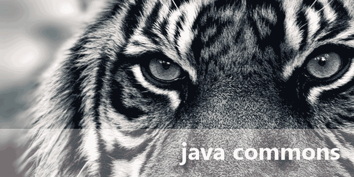 Java apache commons StrSubstitutor サンプルプログラム