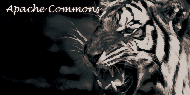 Apache Commons Javaプログラム演習問題　概要